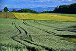 paesaggi - forte maschio natura fotografia drone la vista maschile sulla terra